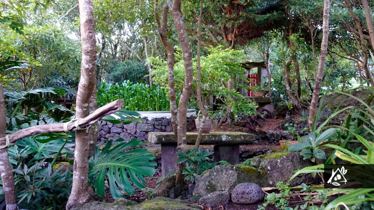 Quinta Do Paraiso * Porto Martins