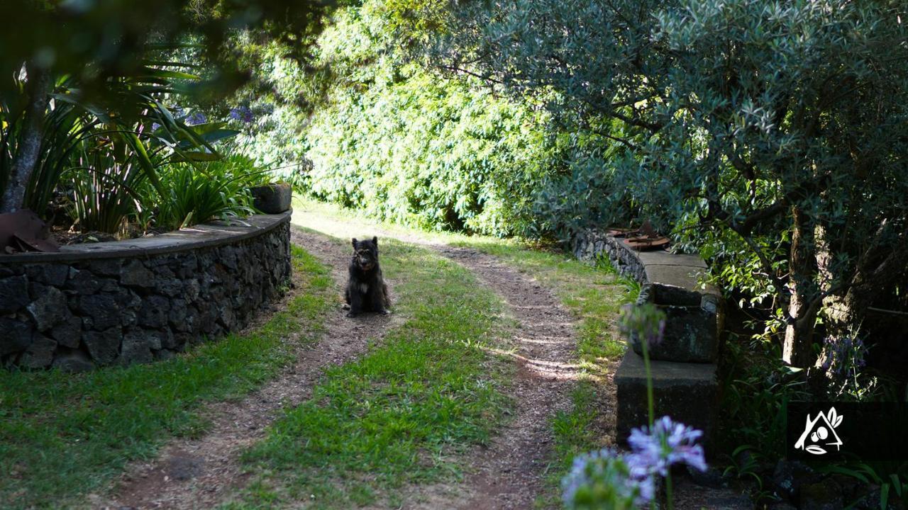 Quinta Do Paraiso Holiday home Porto Martins