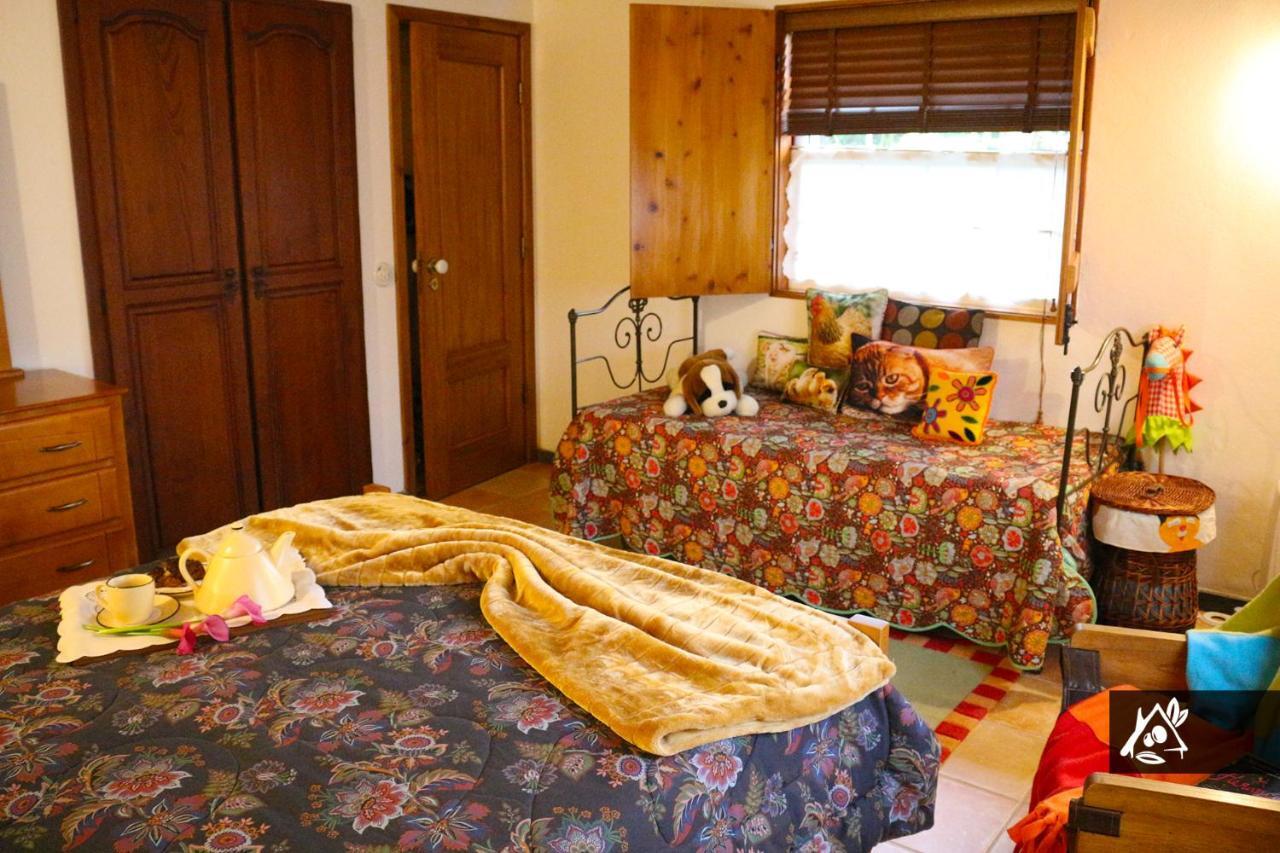 Quinta Do Paraiso Holiday home Porto Martins