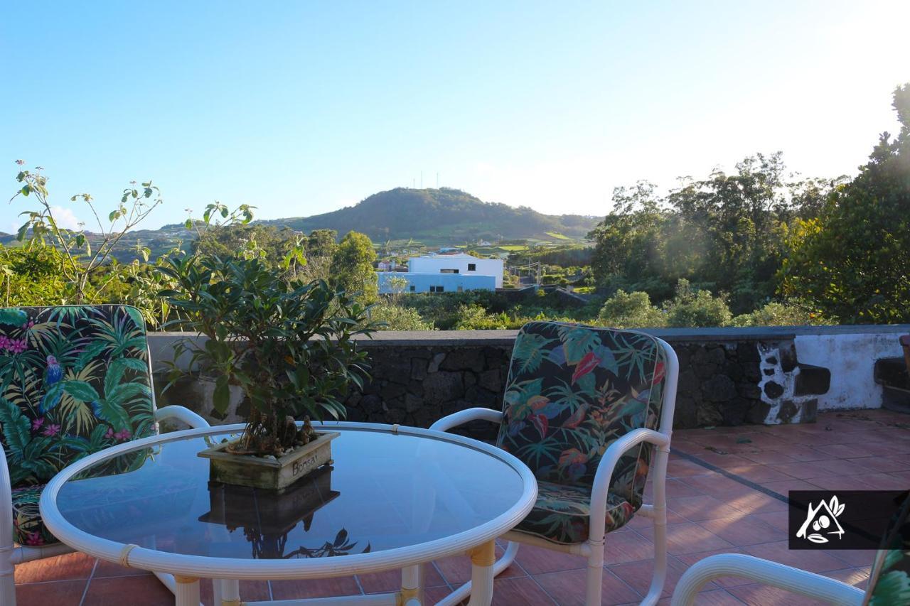 Quinta Do Paraiso Holiday home