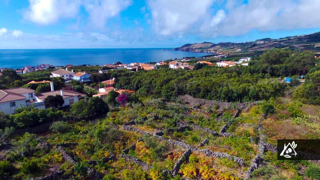 Holiday home Quinta Do Paraiso Porto Martins