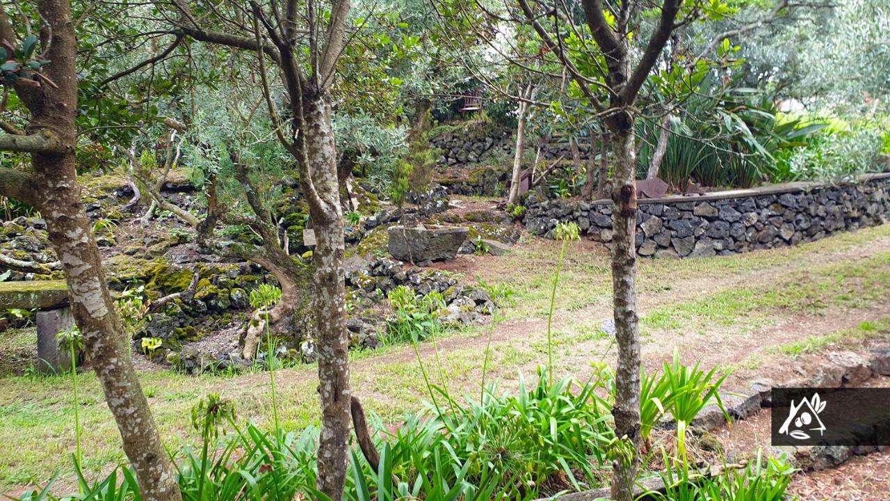 Quinta Do Paraiso Holiday home