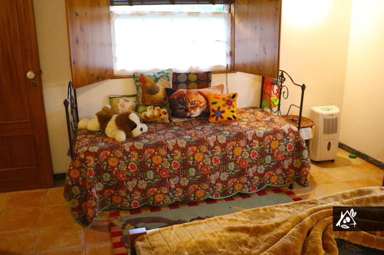 Quinta Do Paraiso Holiday home Porto Martins