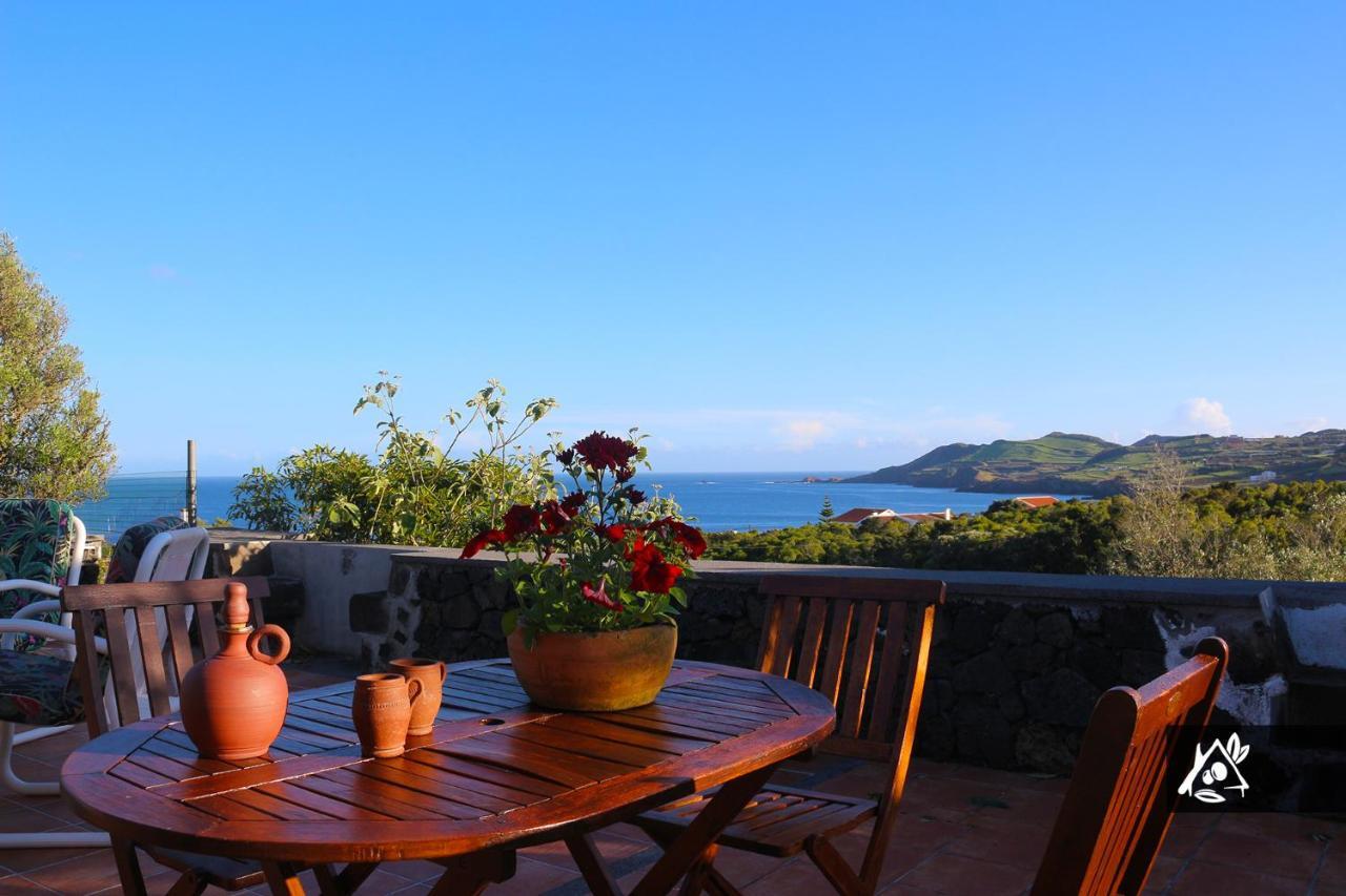 Quinta Do Paraiso Holiday home Porto Martins